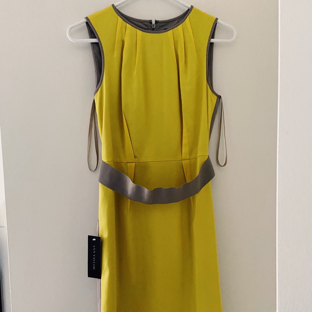 Ann Taylor Dress